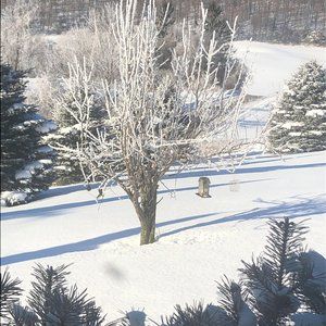 Meet your Posher, Joan